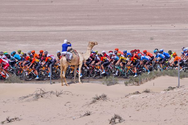 自転車ロードレース「UAEツアー」の参加者　（サウジアラビア） - Sputnik 日本