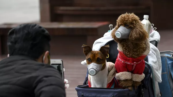 
 - Sputnik 日本