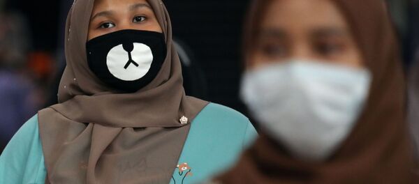 マレーシア マレーシア - Sputnik 日本