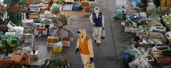 韓国　一晩で438人が新たに　5766人が感染、35人が死亡 - Sputnik 日本