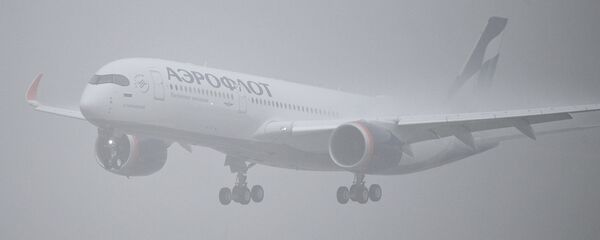 飛行機 飛行機 - Sputnik 日本