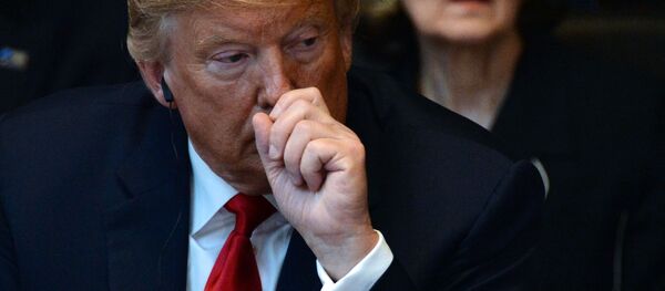 トランプ大統領(アーカイブ写真) トランプ大統領(アーカイブ写真) - Sputnik 日本