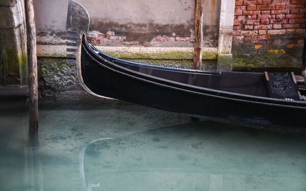 ベネチアで観光客が減少したことで、この都市の運河の水はきれいで透明になり、魚の数も増えました。 - Sputnik 日本