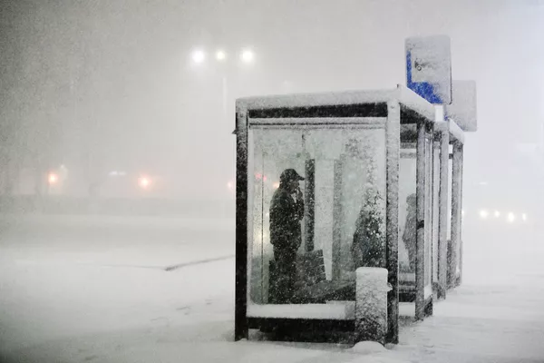 久しぶりの大雪(ロシア・ポドリスク) 久しぶりの大雪(ロシア・ポドリスク) - Sputnik 日本