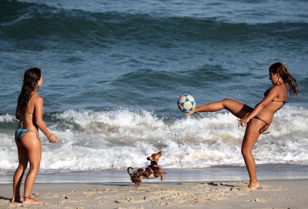 浜辺で遊ぶ女性と犬（ブラジル・リオデジャネイロ） - Sputnik 日本