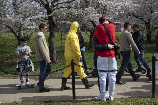 防護服を着て花見をする人（米国・ワシントン） - Sputnik 日本
