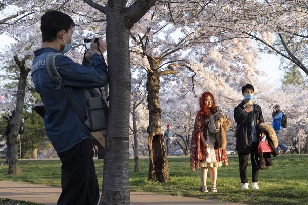 桜を撮影する市民（米国・ワシントン） - Sputnik 日本