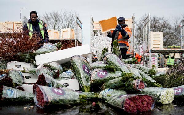 オランダ、大量の花を処分　新型コロナで - Sputnik 日本