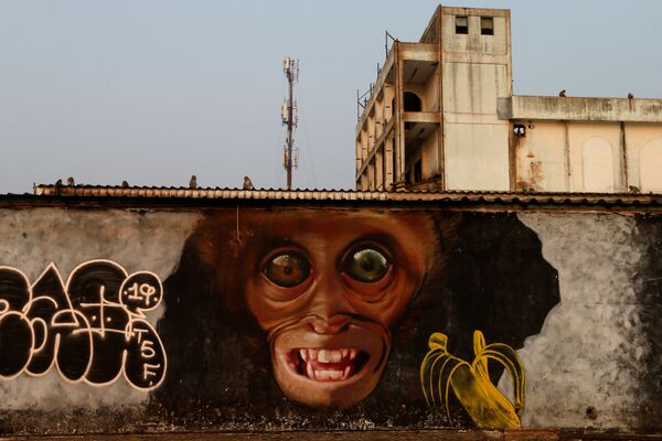 猿の壁画　 - Sputnik 日本