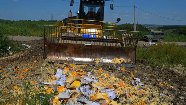 ポーランド農相　ロシアにEU産の食料品の廃棄を止めるよう求める - Sputnik 日本