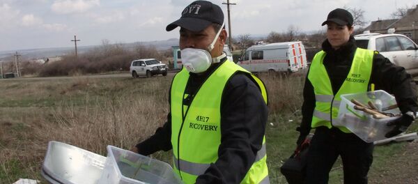 ドネツク墜落のマレー機、西側の報道はオランダ調査団の報告とは矛盾 - Sputnik 日本