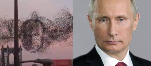 ニューヨーク上空にプーチン大統領の顔が現れる - Sputnik 日本