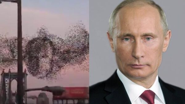 ニューヨーク上空にプーチン大統領の顔が現れる - Sputnik 日本