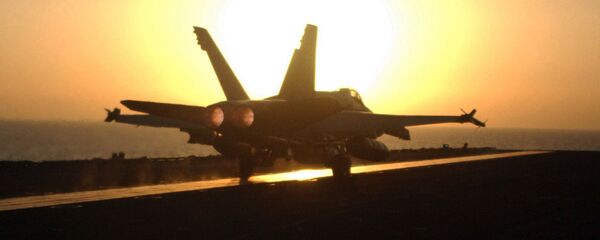 Американский самолет-истребитель F/A-18 Hornet Американский самолет-истребитель F/A-18 Hornet - Sputnik 日本