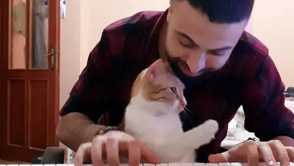 美しい旋律にうっとり　愛猫とのピアノデュオが話題 - Sputnik 日本