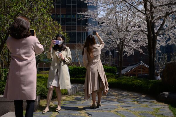 昼休みに桜を撮影する女性（韓国・ソウル） - Sputnik 日本