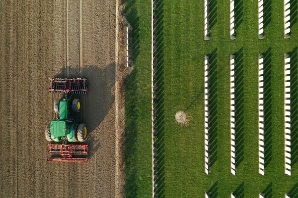 テンサイの播種前にトラクターで土地を整備する農家（フランス・アヌー） - Sputnik 日本