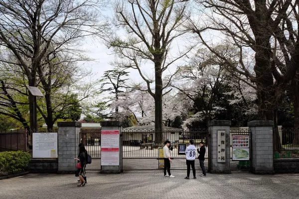 新宿御苑の桜(東京・新宿) 新宿御苑の桜(東京・新宿) - Sputnik 日本