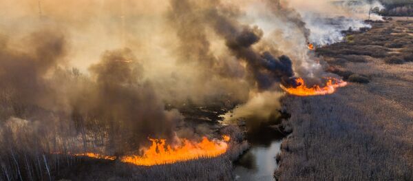 原子力発電所から30 km地点　居住禁止区域での火災 - Sputnik 日本