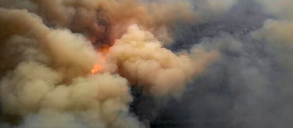 チェルノブイリ区域の火災 チェルノブイリ区域の火災 - Sputnik 日本