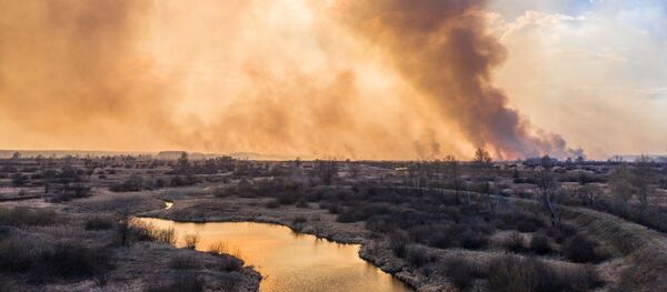 Пожар в зоне отчуждения Чернобыльской АЭС - Sputnik 日本