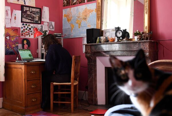 オンラインでテストを受ける学生と猫（フランス・シソー） - Sputnik 日本