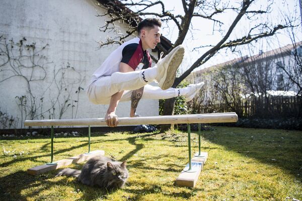 体操競技のマゼル・ニューエン選手と猫（ドイツ・ウンターハヒング） - Sputnik 日本