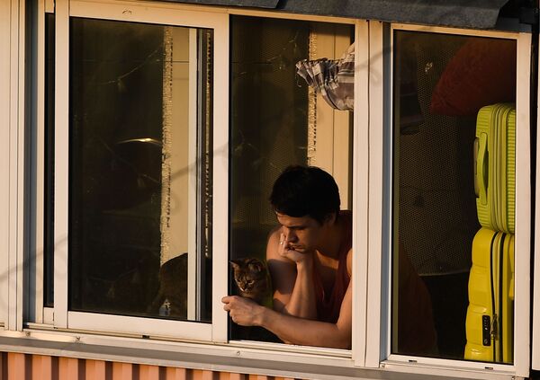窓から外を見下ろす男性と猫（ロシア・モスクワ） - Sputnik 日本