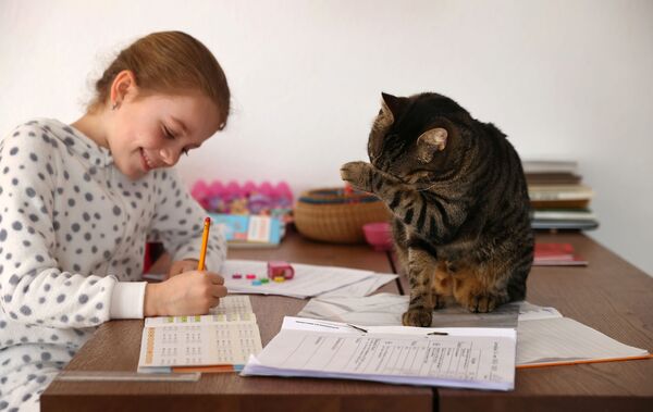 自宅で勉強する少女と猫（ドイツ・ユーゲンハイム） - Sputnik 日本