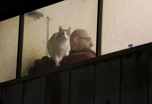 窓から外を見つめる猫と男性（レバノン・ベイルート） - Sputnik 日本