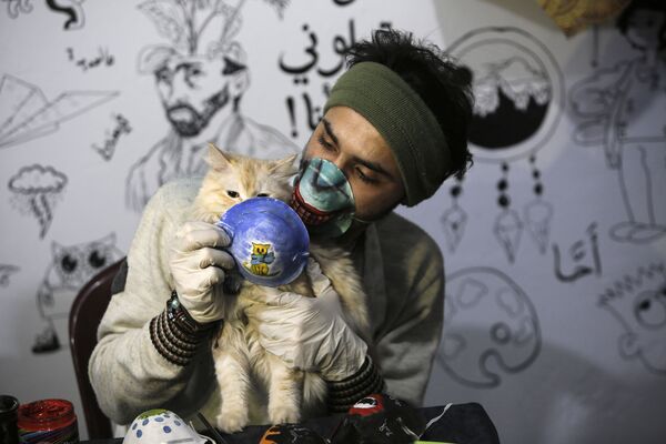 猫にマスクを着用させるアーティスト（パレスチナ自治区ガザ地区） - Sputnik 日本