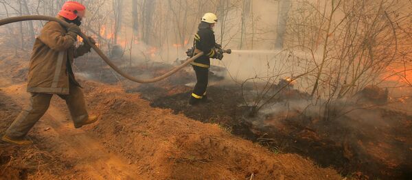 チェルノブイリの森林火災 - Sputnik 日本