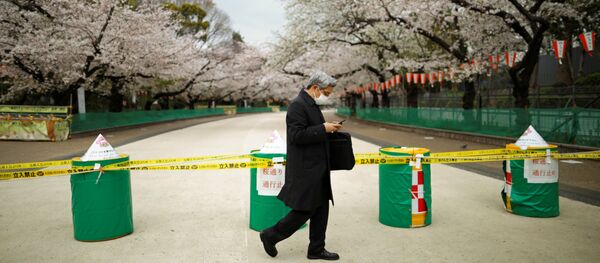 東京 満開 - Sputnik 日本