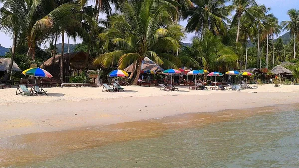 タイの海が息を吹き返している　観光客減で自然に休息 - Sputnik 日本