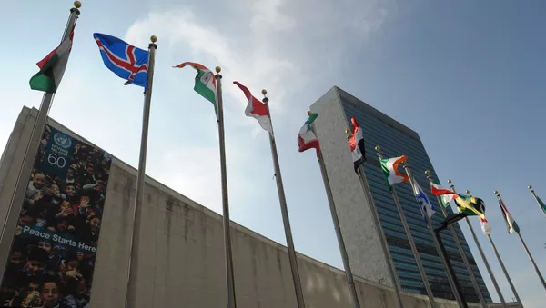 国連 - Sputnik 日本