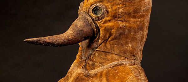 各国の博物館「最も嫌な展示品」を争う 各国の博物館「最も嫌な展示品」を争う - Sputnik 日本