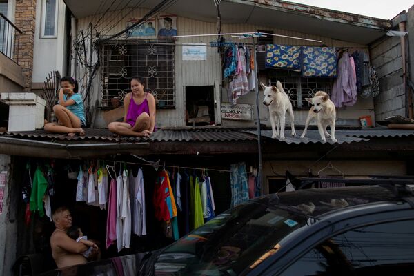 屋根の上に座る少女と犬（フィリピン・マニラ） - Sputnik 日本