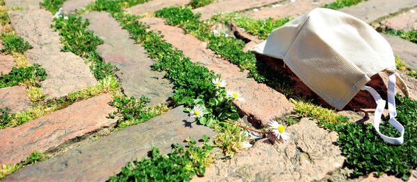 イタリア カンポ広場 シエーナ  イタリア カンポ広場 シエーナ - Sputnik 日本