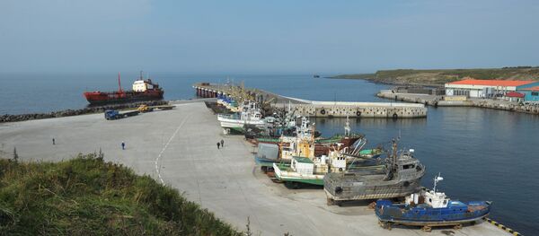 モスクワ、東京に対し「ロシア閣僚の行動を指図しない方がよい」 モスクワ、東京に対し「ロシア閣僚の行動を指図しない方がよい」 - Sputnik 日本