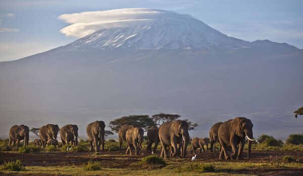 アフリカ大陸の最高峰、キリマンジャロ　標高5895メートル
(タンザニア） - Sputnik 日本