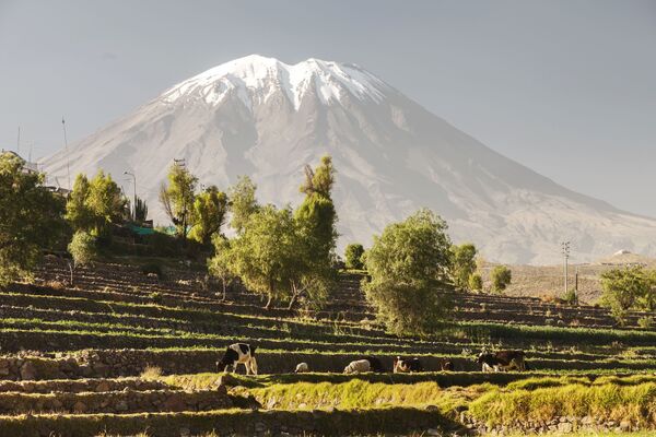 アンデス山脈西部にあるミスティ火山　標高5822メートル
（ペルー・アレキパ市） - Sputnik 日本