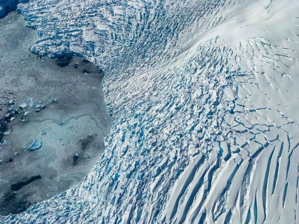３年植え替えしていない 氷山 分離の巨大氷山 かろうじてエコシステムの崩壊に至らず - 2021年