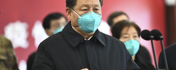 習近平国家主席 習近平国家主席 - Sputnik 日本