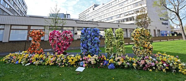ロンドンで病院 ロンドンで病院 - Sputnik 日本