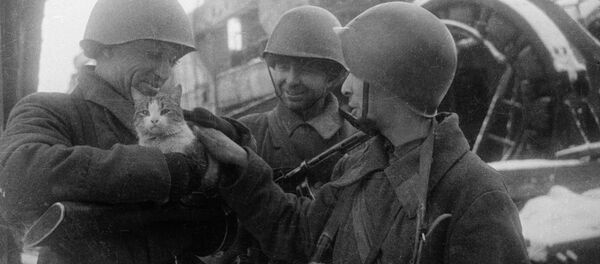 「平和な思い出」スターリングラード(現・ボルゴグラード)(1943年) 「平和な思い出」スターリングラード(現・ボルゴグラード)(1943年) - Sputnik 日本