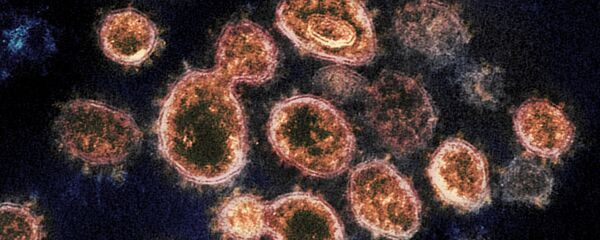 ロシア保健省次官、新型コロナと放射線の類似点を指摘 ロシア保健省次官、新型コロナと放射線の類似点を指摘 - Sputnik 日本