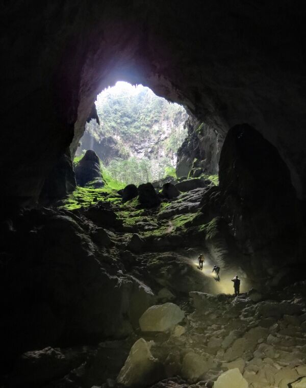 ベトナム中部のフォンニャ＝ケバン国立公園内にある世界最大の洞窟「ソンドン洞」 - Sputnik 日本