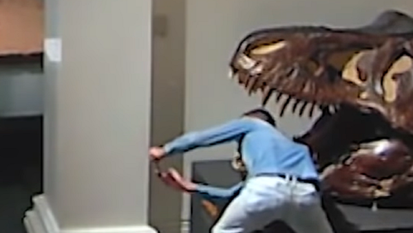 博物館に侵入した謎の男　恐竜の化石と自撮りし立ち去る　豪 - Sputnik 日本