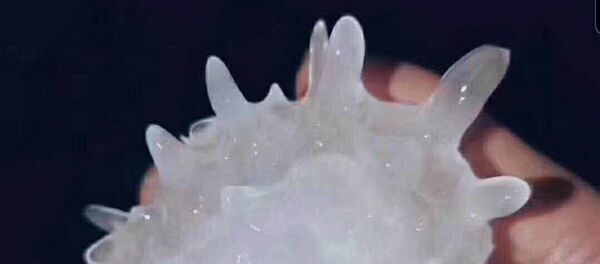 「新型コロナ」の雹 「新型コロナ」の雹 - Sputnik 日本