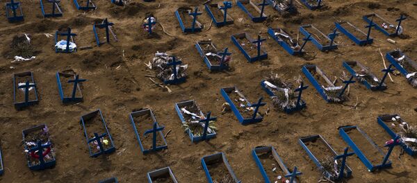 ブラジル - Sputnik 日本